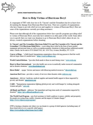 how to help victims of Hurricane Beryl - Rona Kauffman_1